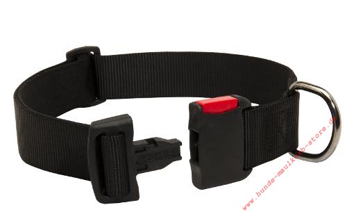 traditional nylon collar for Malinois Shepherd