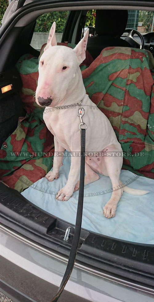 Bullterrier Hundeleine aus Leder kaufen