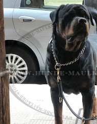 Multi-function Leather dog leash for training, walking, tracking