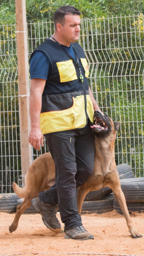 Gehorsam Training Weste Deutschland