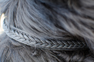 Braided Leather Dog Collar for Newfoundland