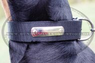 Nylon Dog Collar with Name Plate for Doberman Walks