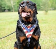 Rottweiler Geschirr mit USA Design Extra Qualität