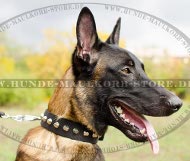 Hundehalsband mit Nieten für Herder Malinois oder X-Herder