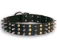 Exclusive leather dog collar with spikes and studs for large dog