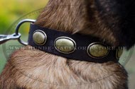 Schmuckhalsband in Vintage Stil mit Goldenellipsen für Malinois