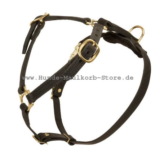 Luxury Handcrafted Leather Large Harness