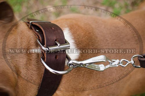 Schlichtes Hundehalsband Leder 4 cm