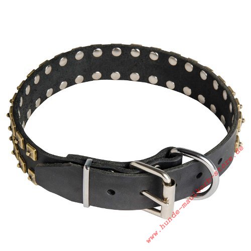 Brown Caterpillar Dog Collar With Square Nickel Studs