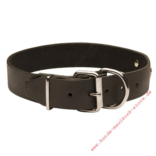 Leather Collar with Name Metal Plate for Indentification