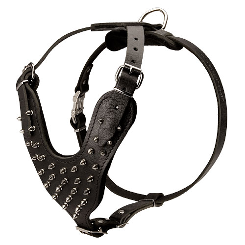 Golden Spikes Leather Harness for Cane Corso