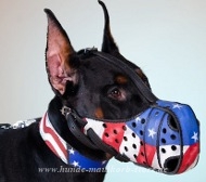 Dog Collar for Doberman Made of Leather with USA Paint