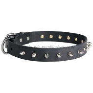 Narrow leather Collar for Belgian Malinois Spike Design ✔