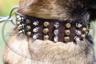 Leather Dog Collar for Belgian Malinois with pyramids and spikes