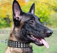 Leather Dog Collar for Belgian Malinois with amazing Pyramids