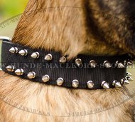 Nylon Collar for Malinois Spike Design