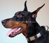 Nieten Halsband mit Platten | Dobermann Hunde Halsband Leder